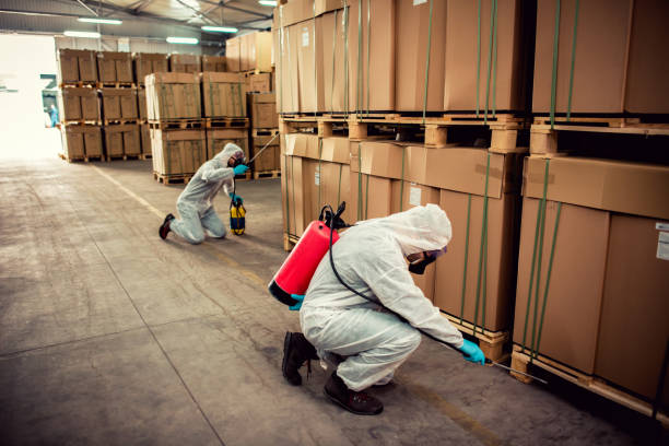 Best Wasp Removal Services  in Cusseta, GA