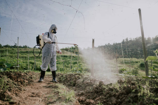 Best Commercial Pest Control Services  in Cusseta, GA