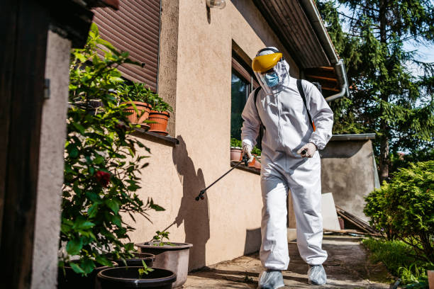 Best Bed Bug Extermination  in Cusseta, GA