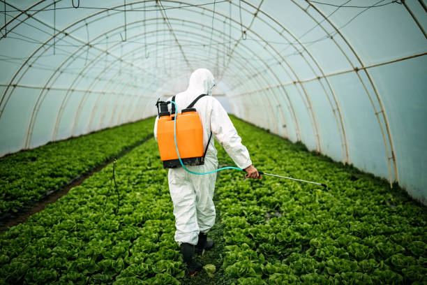 Best Affordable Pest Control Services  in Cusseta, GA