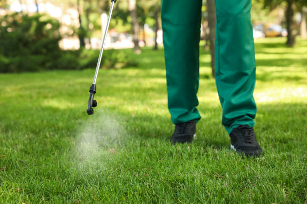 Best Wildlife Control Services  in Cusseta, GA