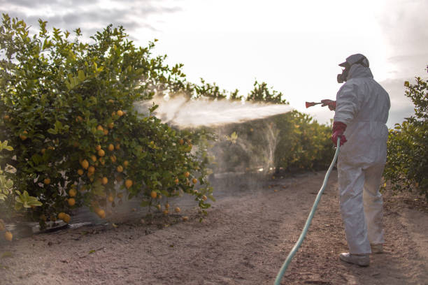 Pest Prevention Services in Cusseta, GA