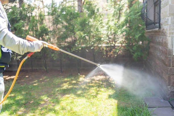Best Pest Prevention Services  in Cusseta, GA