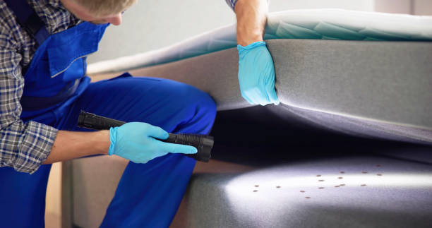 Best Pest Removal Services  in Cusseta, GA