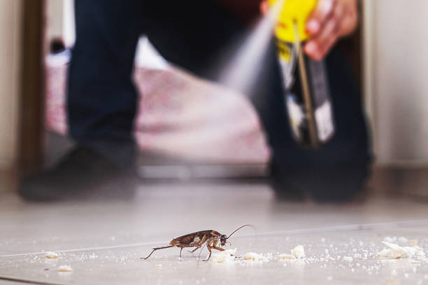 Best Best Pest Control Companies  in Cusseta, GA